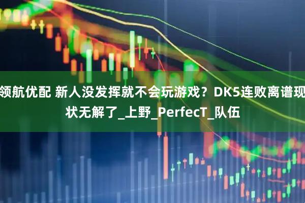 领航优配 新人没发挥就不会玩游戏？DK5连败离谱现状无解了_上野_PerfecT_队伍