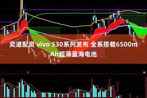 奕道配资 vivo S30系列发布 全系搭载6500mAh超薄蓝海电池