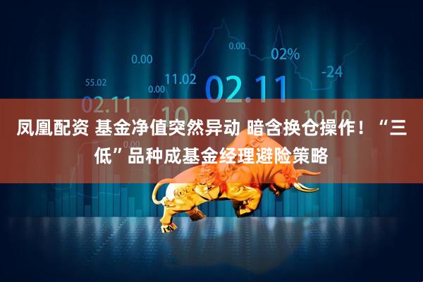 凤凰配资 基金净值突然异动 暗含换仓操作！“三低”品种成基金经理避险策略