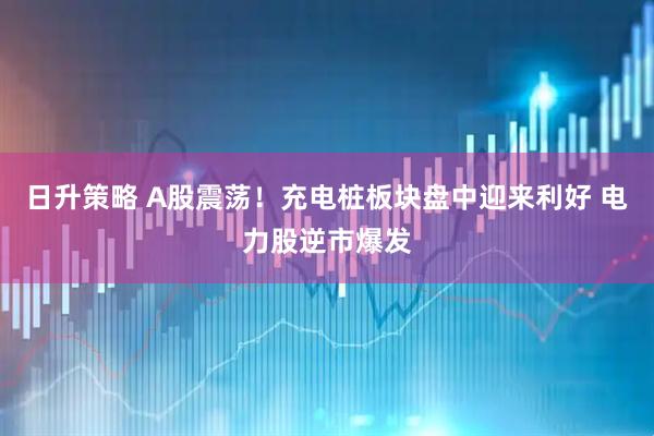 日升策略 A股震荡！充电桩板块盘中迎来利好 电力股逆市爆发