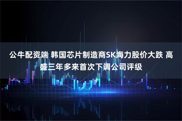 公牛配资端 韩国芯片制造商SK海力股价大跌 高盛三年多来首次下调公司评级
