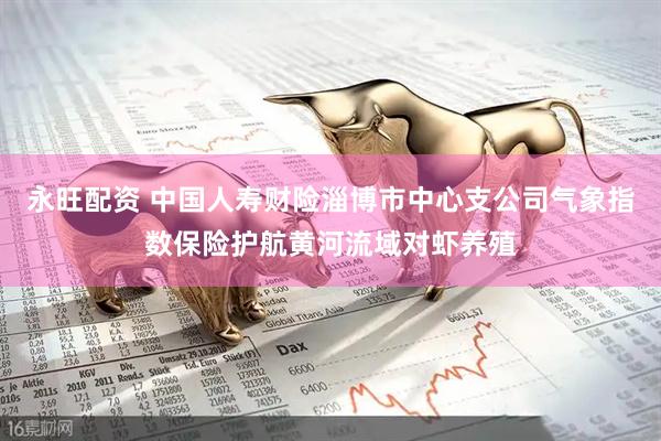 永旺配资 中国人寿财险淄博市中心支公司气象指数保险护航黄河流域对虾养殖