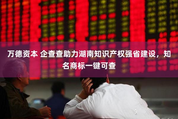 万德资本 企查查助力湖南知识产权强省建设，知名商标一键可查