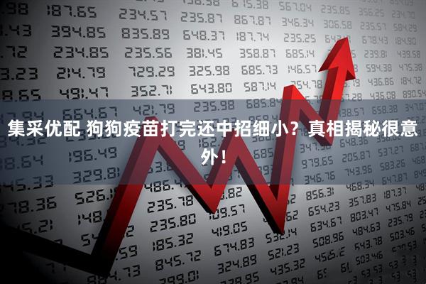 集采优配 狗狗疫苗打完还中招细小？真相揭秘很意外！