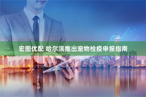 宏图优配 哈尔滨推出宠物检疫申报指南