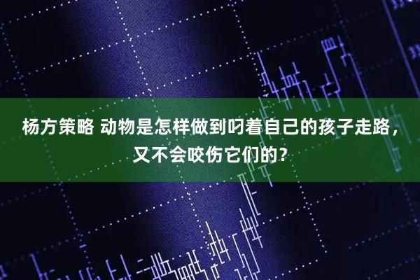 杨方策略 动物是怎样做到叼着自己的孩子走路，又不会咬伤它们的？