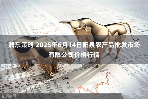 鼎东策略 2025年6月14日阳泉农产品批发市场有限公司价格行情