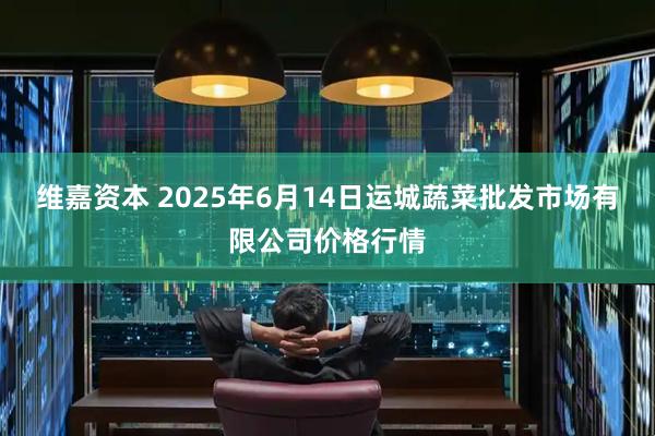 维嘉资本 2025年6月14日运城蔬菜批发市场有限公司价格行情